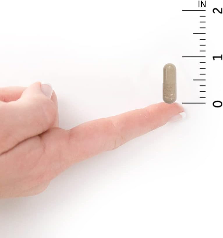 Garden of Life Vitamin Code Raw Vitamin C - 60 Capsules, 500mg Whole Food Vitamin C Capsules + Fruit & Veggie Blend & Probiotics, Supplements for Adults, Vegan, Gluten Free