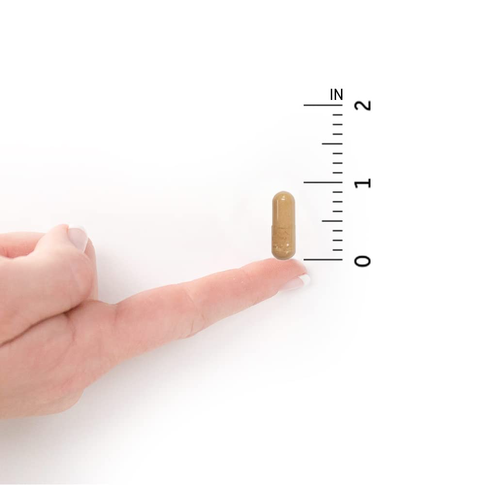 Garden of Life Probiotics for Women and Men - Raw Probiotics Ultimate Care 100 Billion CFU Probiotic Supplement, Daily Probiotic for Adults with Digestive Enzymes, 30 Capsules