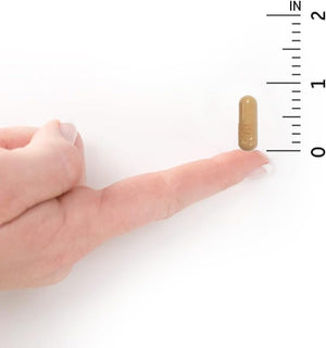 Garden of Life Vitamin B Complex, 60 Vegan Capsules, High Potency Vitamins for Energy & Metabolism with B6, Folate & B12 as Methylcobalamin Plus Probiotics