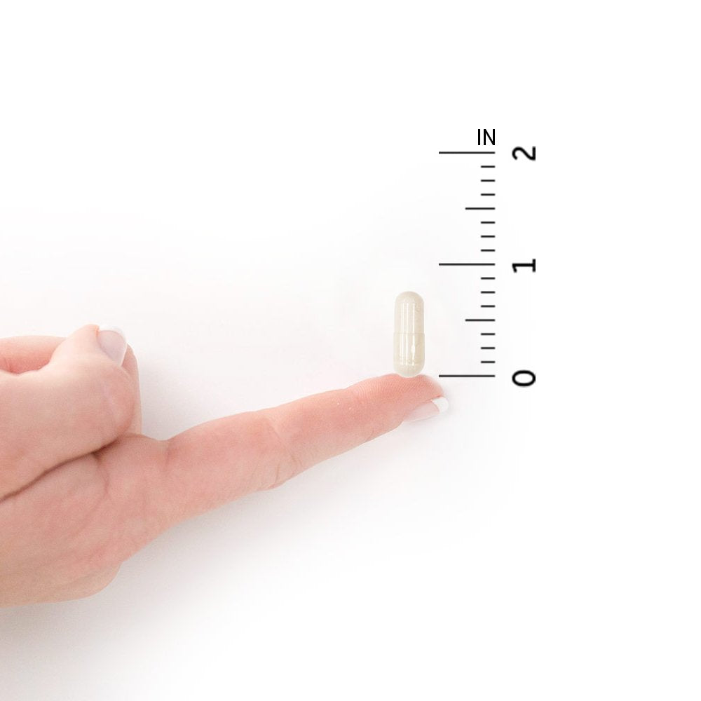 Garden of Life Raw Calcium Supplement for Women and Men - Vitamin Code Made from Whole Foods with Magnesium, K2, Vitamin D3 and Vitamin C plus Probiotics for Digestion, 120 Capsules