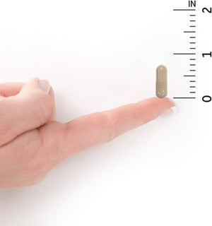 Garden of Life Vitamin Code Raw One for Women, Once Daily Women's Multivitamin - 75 Capsules, One a Day Vitamins Whole Food Iron, Probiotics for Digestive Health, Gluten Free Vegetarian