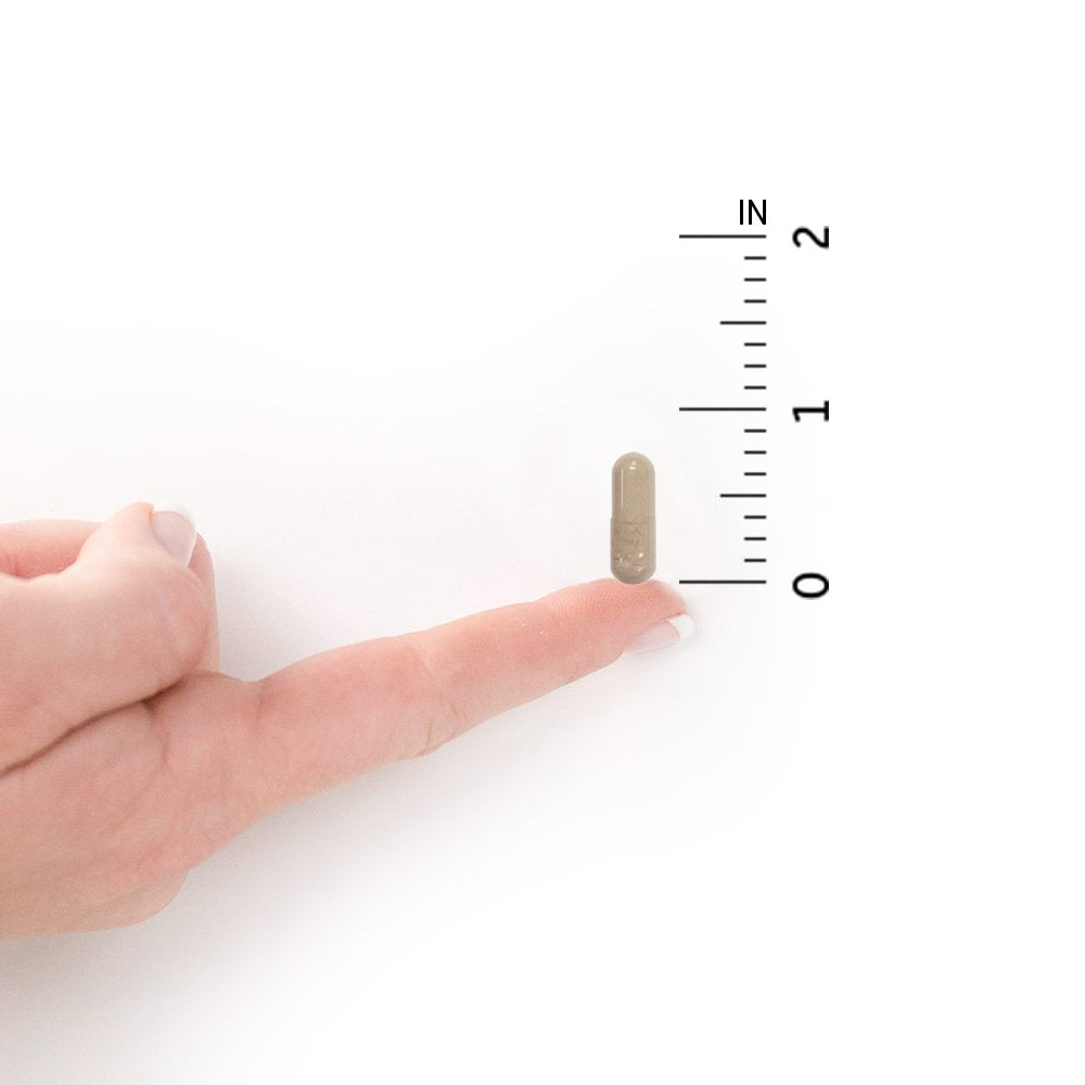 Garden of Life Multivitamin for Women, Vitamin Code Raw One for Women, Once Daily Women's Multi - 30 Capsules, One a Day Vitamins Whole Food Iron, Probiotics for Womens Health, Gluten Free Vegetarian