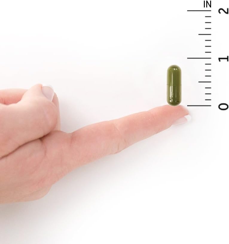 Garden of Life Vitamin D3 5000 IU, Raw Whole Food Supplements with Chlorella, Fruit, Veggies & Probiotics for Bone & Immune Health, 60 Vegetarian Capsules