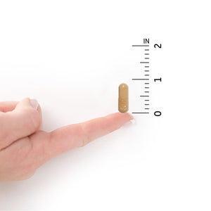 Garden of Life Probiotics for Women and Men - Raw Probiotics Ultimate Care 100 Billion CFU Probiotic Supplement, Daily Probiotic for Adults with Digestive Enzymes, 30 Capsules