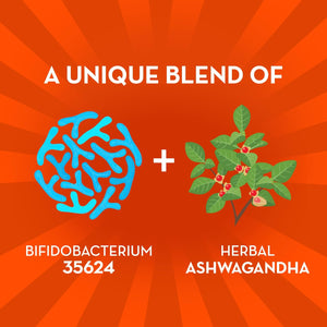 Align Probiotic, Gut Health + Stress Support, with Probiotics for Digestive Health and Ashwagandha to Help Calm Mind and Body*, #1 Doctor Recommended Brand‡, 21 Capsules