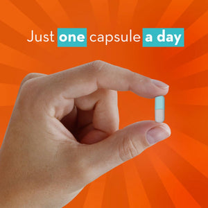 Align Probiotic, Gut Health + Stress Support, with Probiotics for Digestive Health and Ashwagandha to Help Calm Mind and Body*, #1 Doctor Recommended Brand‡, 21 Capsules