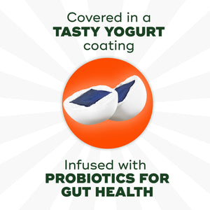 Align Probiotic, Kids Yogurt Coated Probiotic Fruit Bites, Added Probiotics Help Support Kids' Digestive Health, Apple Blueberry Flavored, 21 Individually Wrapped Pouches, 105 Bites