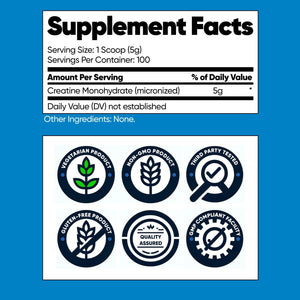 Nutricost Bulk Pack - 3 Pack Creatine Monohydrate Micronized Powder - 500G, 5000mg Per Serv (5g) - Micronized Creatine Monohydrate, 100 Servings, 17.9 Oz (3 Pack)