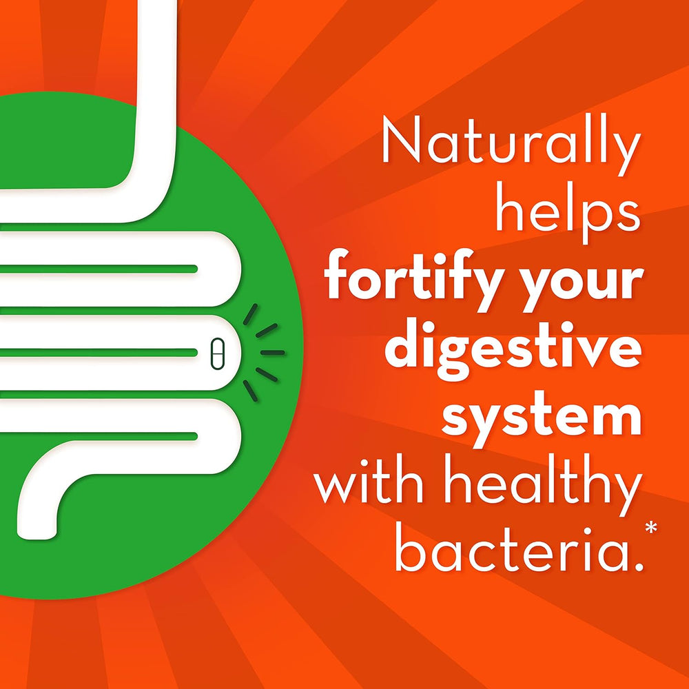 Align Gut Health & Immunity Probiotic, Daily Digestive Support for Women and Men, Helps Support Immune and Digestive Health, 14 Capsules