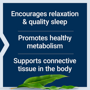 Life Extension Glycine, 1000 mg, Amino Acid That Promotes Healthy Sleep, Gluten-Free, Non-GMO, Vegetarian, 100 Capsules