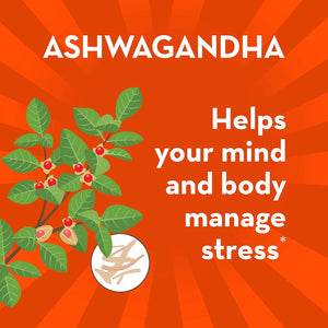 Align Probiotic, Digestive De-stress, Probiotic for Women and Men with Ashwagandha, Helps with a Healthy Response to Stress, Gluten Free, Soy Free, Vegetarian, 50 Gummies