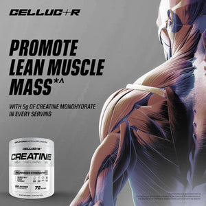 Cellucor Creatine Powder, Jolly Rancher Cherry- Increases Strength, Lean Muscle Mass & Endurance, Micronized Creatine for Fast Absorption, 5g Creatine per Serving, 50 Servings