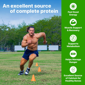 Orgain 38g High Protein Shake, Dairy Isolate Protein Milk, Vanilla, 6g BCAAs, 1g Sugar Per Serving, Meal Replacement, Ready to Drink, Keto Friendly, Gluten-Free 14 Fl Oz (Pack of 12)