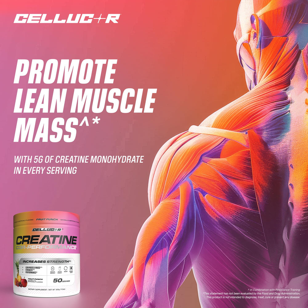 Cellucor Creatine Powder, Jolly Rancher Cherry- Increases Strength, Lean Muscle Mass & Endurance, Micronized Creatine for Fast Absorption, 5g Creatine per Serving, 50 Servings