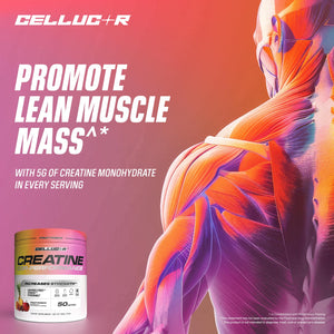 Cellucor Creatine Powder, Jolly Rancher Cherry- Increases Strength, Lean Muscle Mass & Endurance, Micronized Creatine for Fast Absorption, 5g Creatine per Serving, 50 Servings