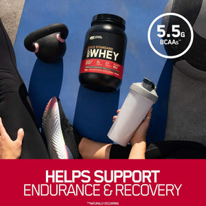 Optimum Nutrition Gold Standard 100% Whey Protein Powder, Gingerbread, 2 Pound (Packaging May Vary)