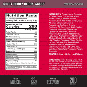 BSN Berry Berry Berry Good Flavor, Powder, 25 Servings